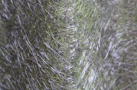 Upper Church Village fibreglass roof work